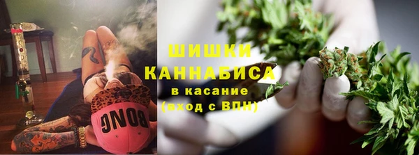дмт Кодинск