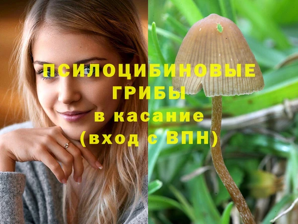 не бодяженный Козловка