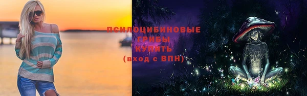 не бодяженный Козловка