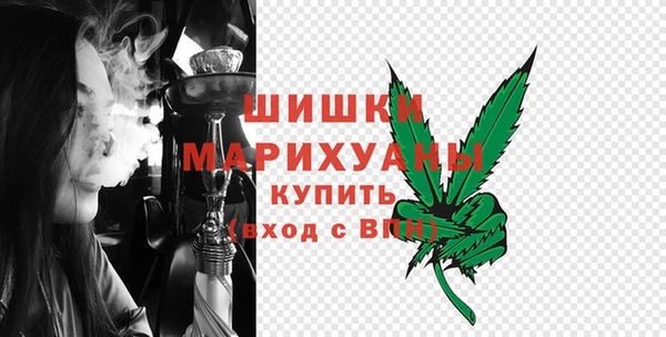 дмт Кодинск