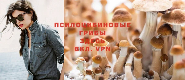 дмт Кодинск