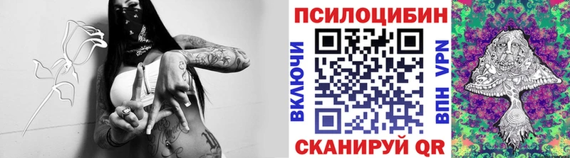 Купить  Всеволожск  Галлюциногенные грибы Magic Shrooms 